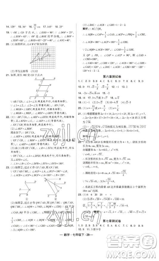 河海大學出版社2023經(jīng)綸學典課時作業(yè)七年級下冊數(shù)學人教版答案