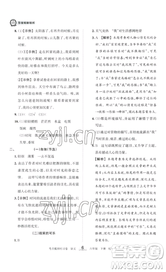 王朝霞考點梳理時習卷六年級下冊語文人教版答案