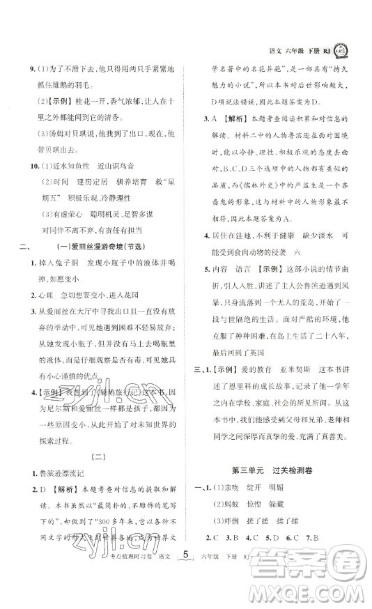 王朝霞考點梳理時習卷六年級下冊語文人教版答案