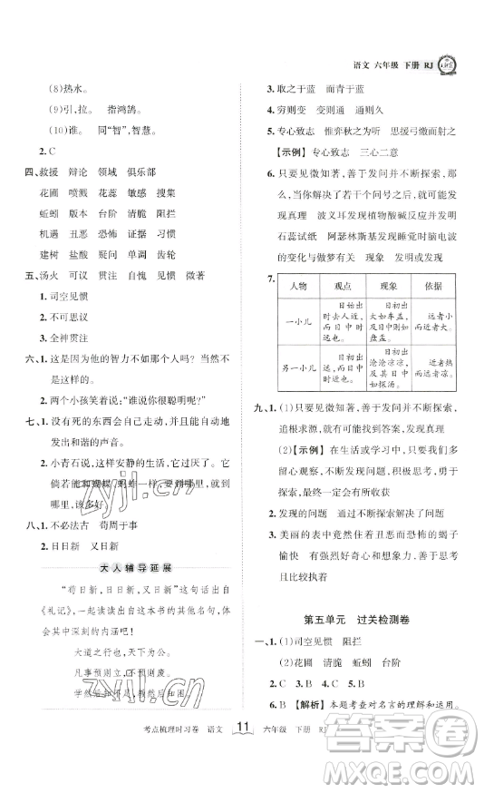 王朝霞考點梳理時習卷六年級下冊語文人教版答案