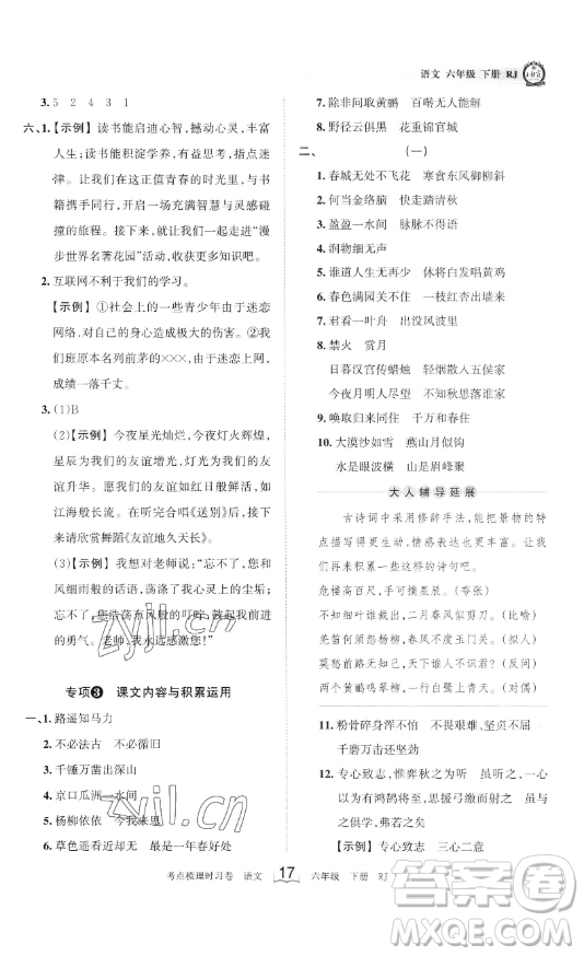 王朝霞考點梳理時習卷六年級下冊語文人教版答案