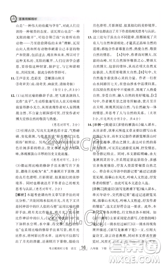 江西人民出版社2023王朝霞考點梳理時習卷八年級下冊語文人教版答案