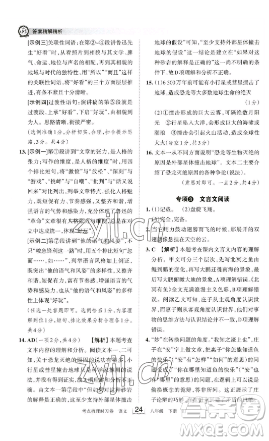 江西人民出版社2023王朝霞考點梳理時習卷八年級下冊語文人教版答案