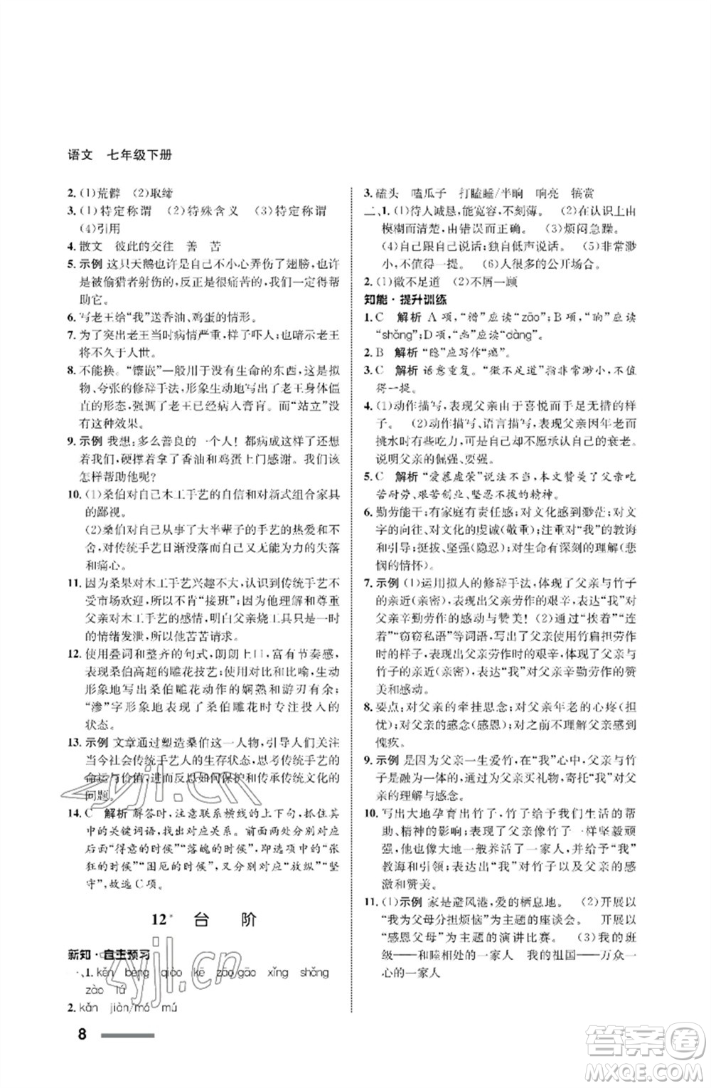 甘肅少年兒童出版社2023語文配套綜合練習(xí)七年級下冊人教版參考答案