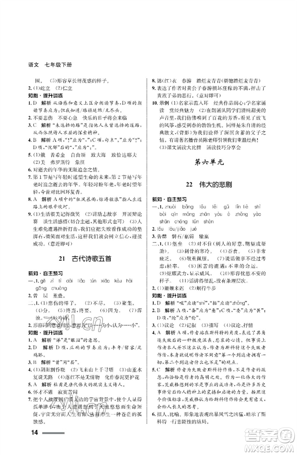 甘肅少年兒童出版社2023語文配套綜合練習(xí)七年級下冊人教版參考答案