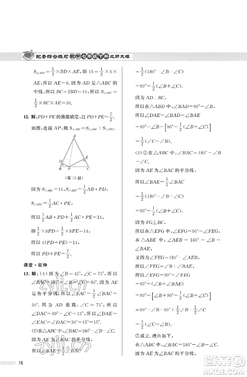 北京師范大學(xué)出版社2023數(shù)學(xué)配套綜合練習(xí)七年級(jí)下冊(cè)北師大版參考答案