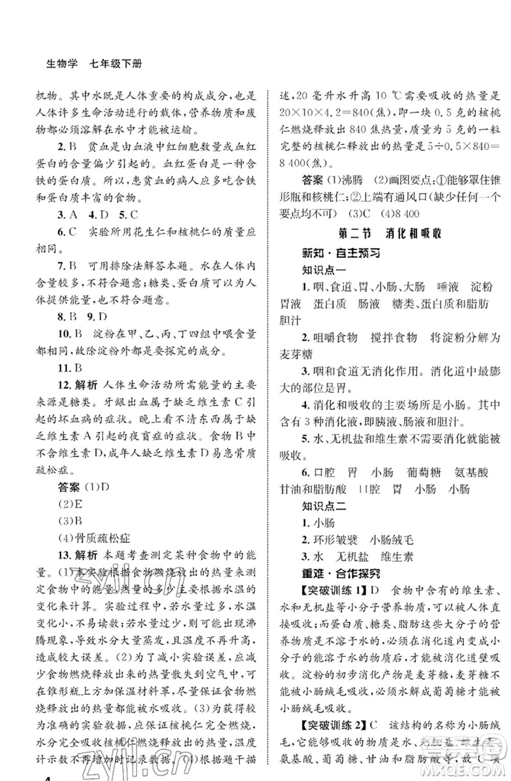 甘肅教育出版社2023生物學配套綜合練習七年級下冊人教版參考答案