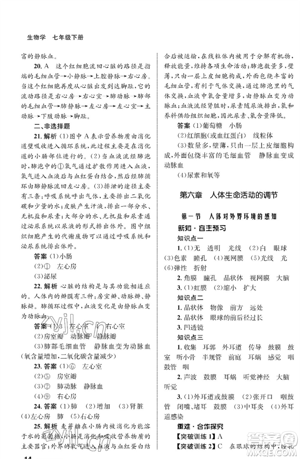 甘肅教育出版社2023生物學配套綜合練習七年級下冊人教版參考答案