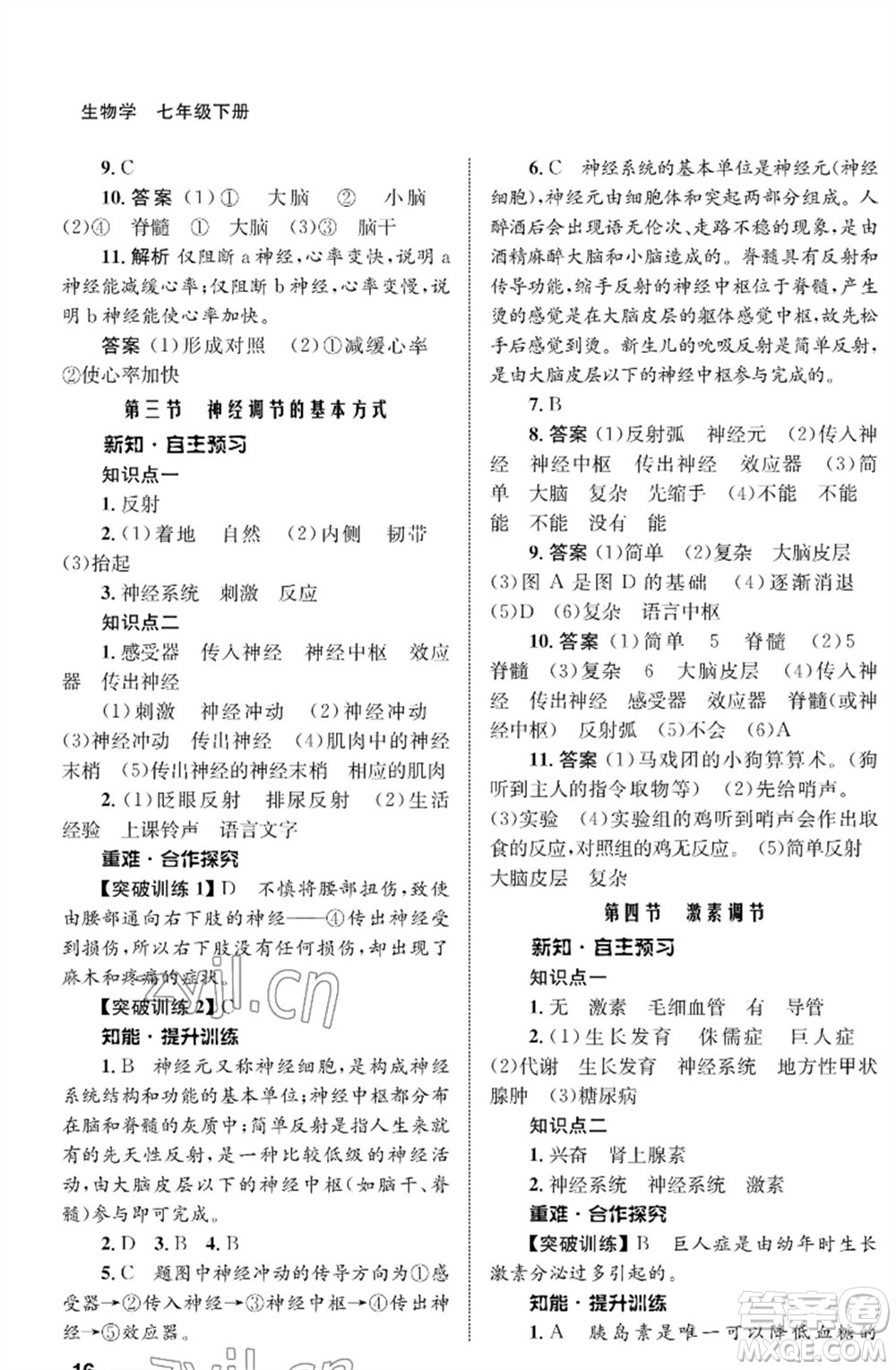 甘肅教育出版社2023生物學配套綜合練習七年級下冊人教版參考答案