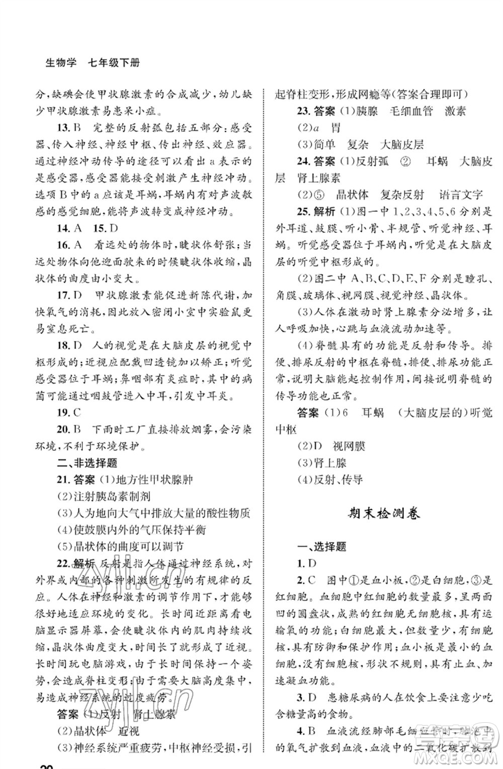 甘肅教育出版社2023生物學配套綜合練習七年級下冊人教版參考答案