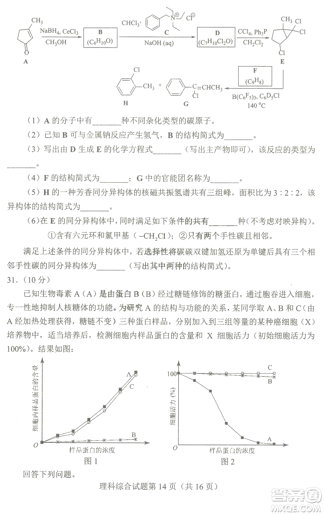 2023四省聯(lián)考高三適應(yīng)性能力測(cè)試卷理科綜合試卷答案