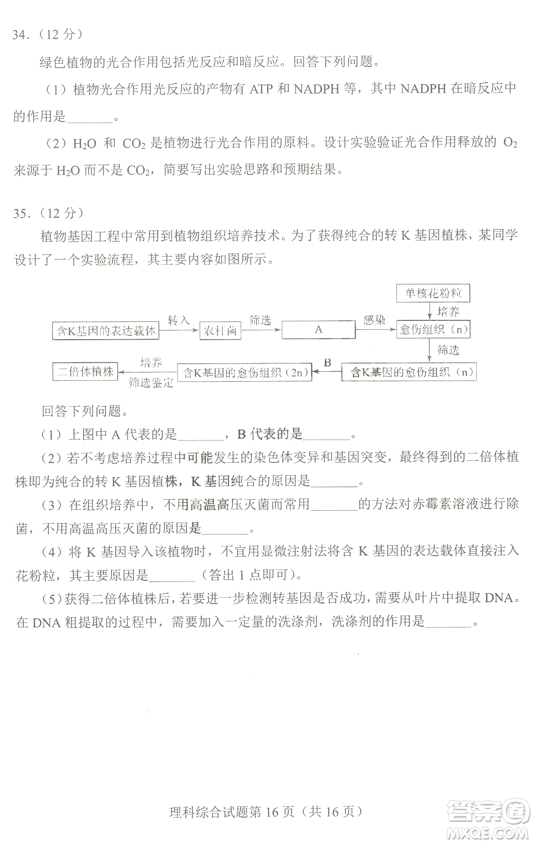 2023四省聯(lián)考高三適應(yīng)性能力測(cè)試卷理科綜合試卷答案