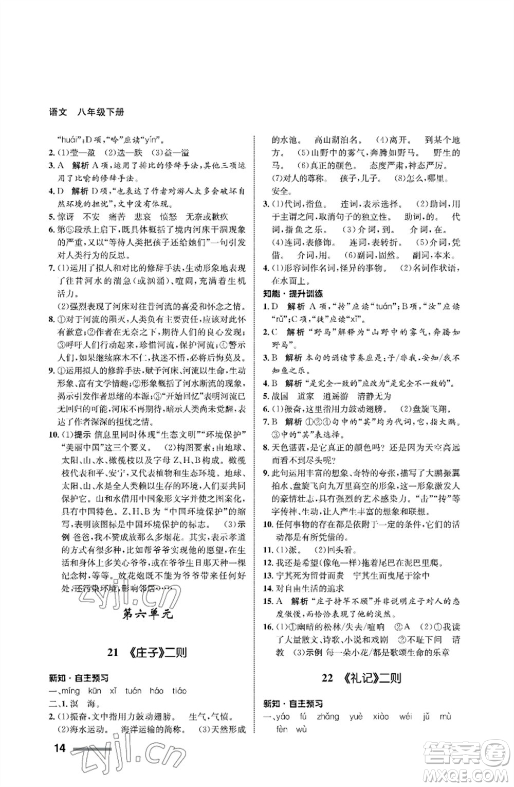 甘肅教育出版社2023語文配套綜合練習(xí)八年級下冊人教版參考答案