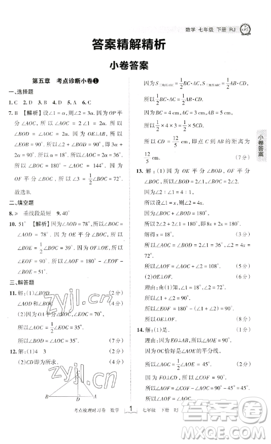 江西人民出版社2023王朝霞考點(diǎn)梳理時(shí)習(xí)卷七年級(jí)下冊數(shù)學(xué)人教版答案