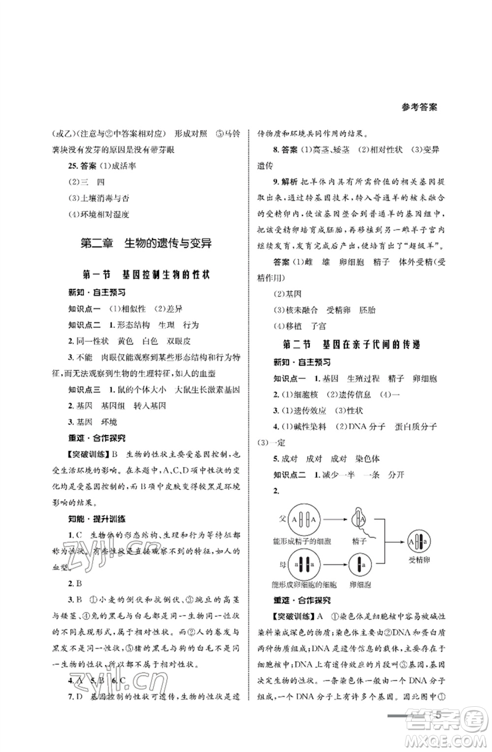 甘肅教育出版社2023生物學(xué)配套綜合練習(xí)八年級下冊人教版參考答案