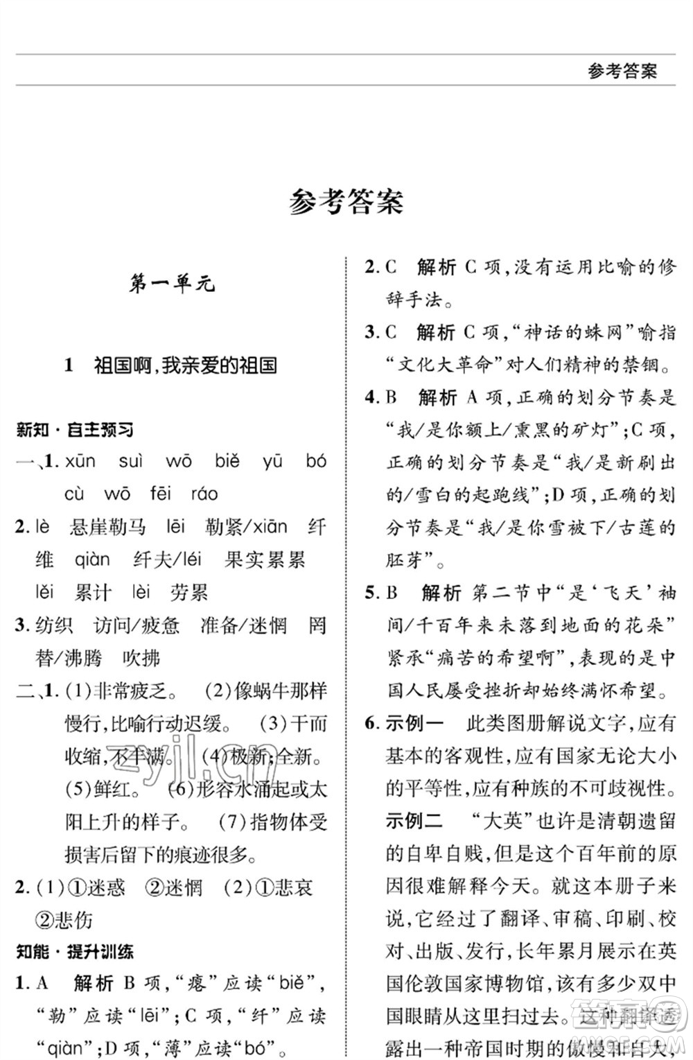 北京師范大學出版社2023語文配套綜合練習九年級下冊人教版參考答案