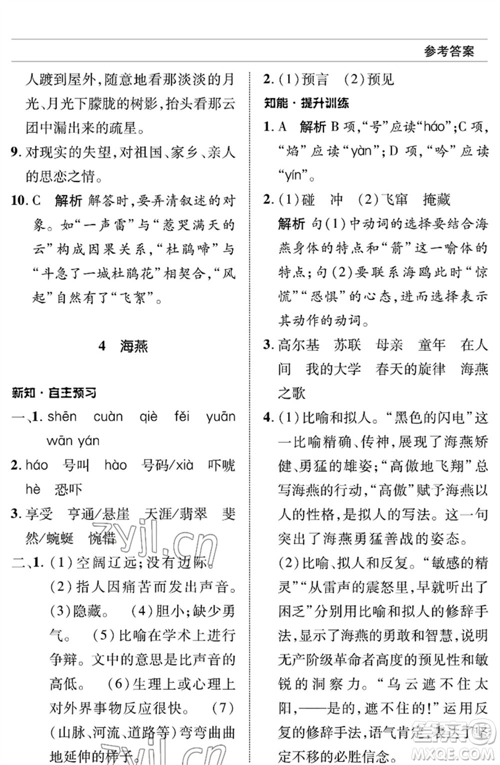 北京師范大學出版社2023語文配套綜合練習九年級下冊人教版參考答案