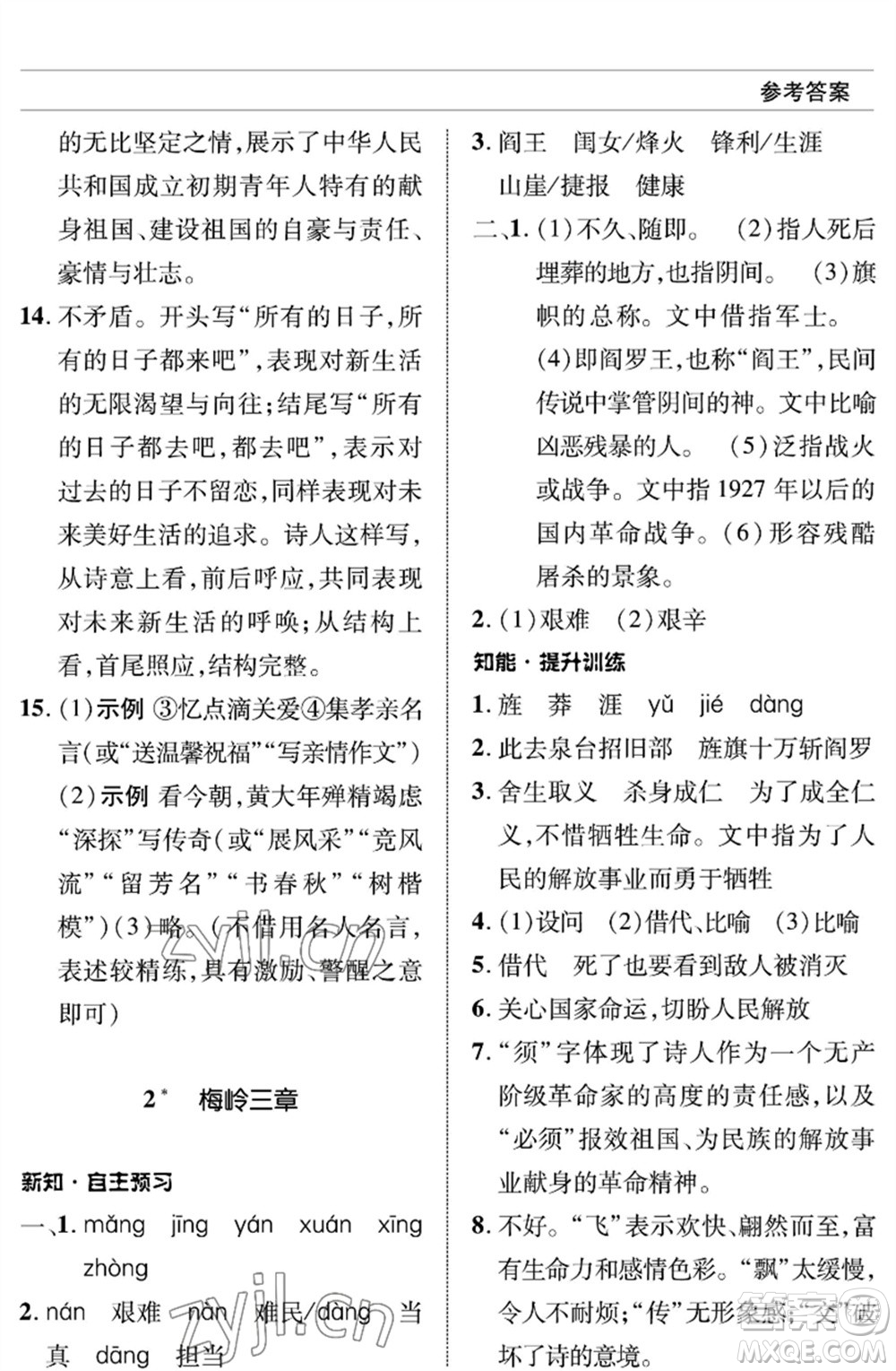 北京師范大學出版社2023語文配套綜合練習九年級下冊人教版參考答案