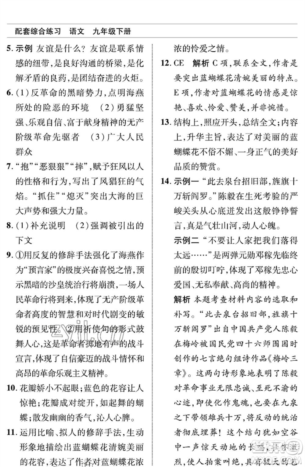 北京師范大學出版社2023語文配套綜合練習九年級下冊人教版參考答案