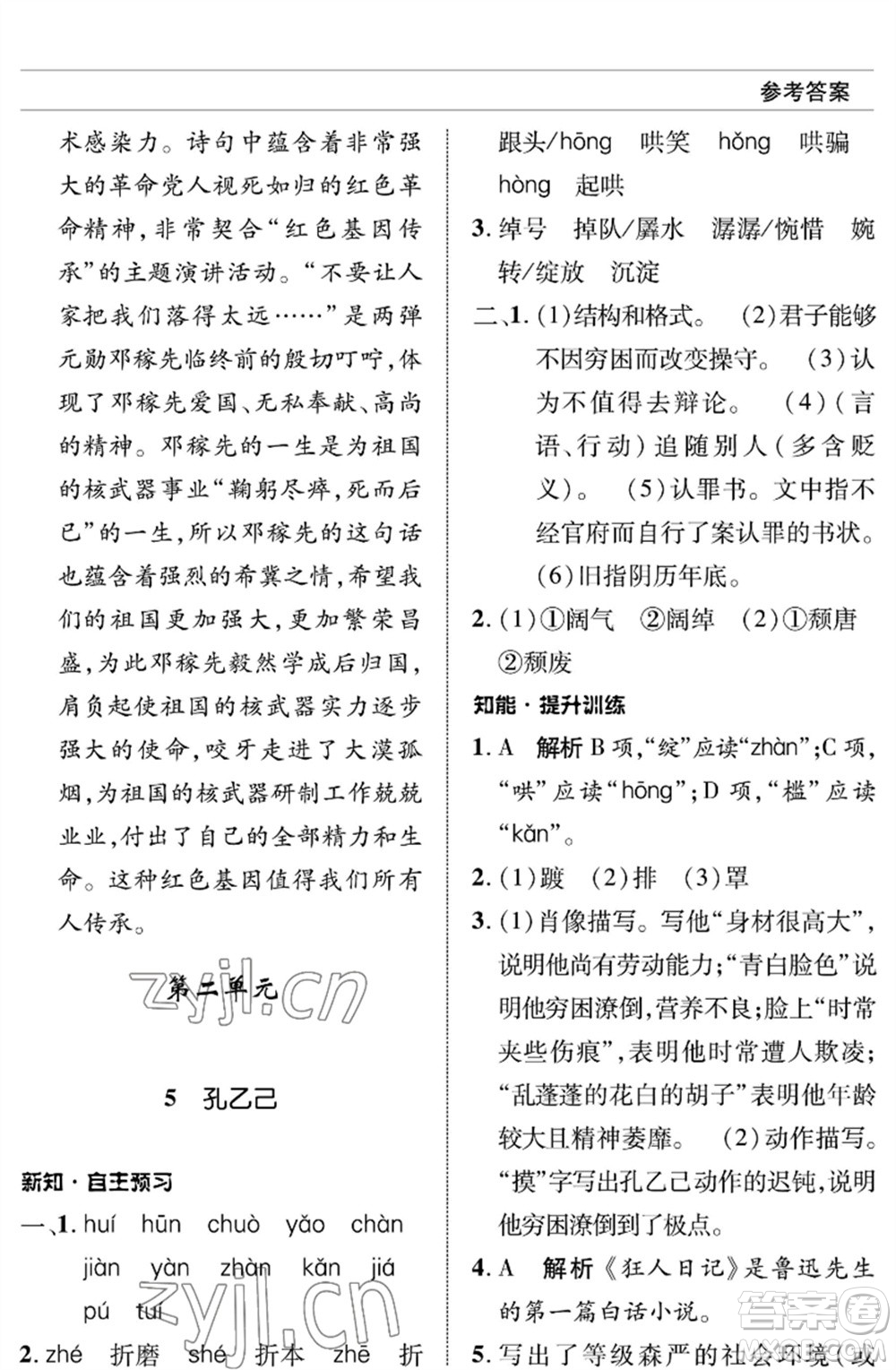 北京師范大學出版社2023語文配套綜合練習九年級下冊人教版參考答案