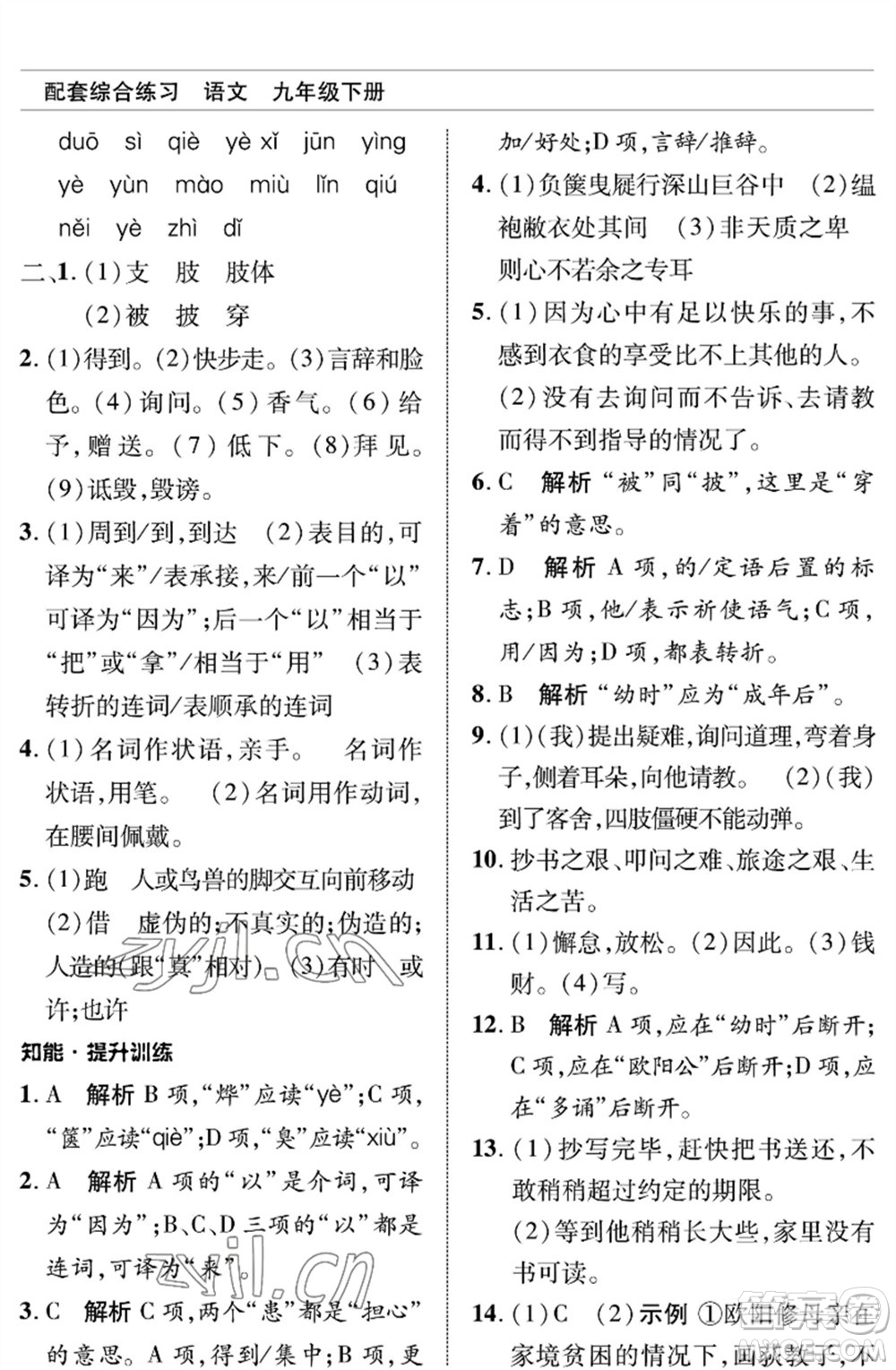 北京師范大學出版社2023語文配套綜合練習九年級下冊人教版參考答案