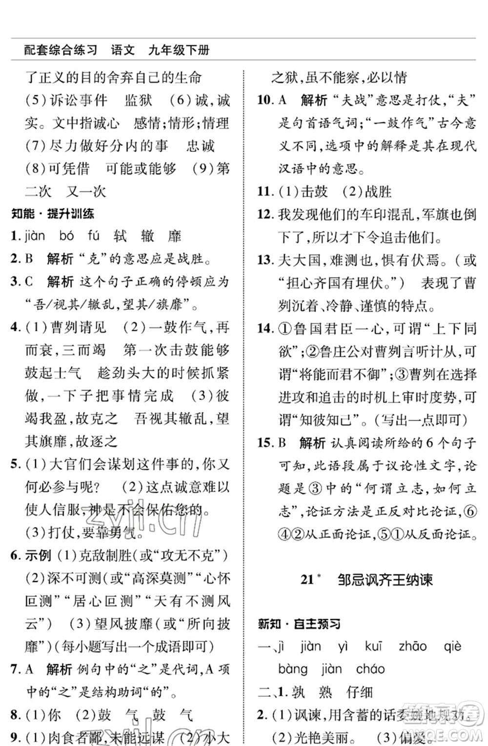 北京師范大學出版社2023語文配套綜合練習九年級下冊人教版參考答案