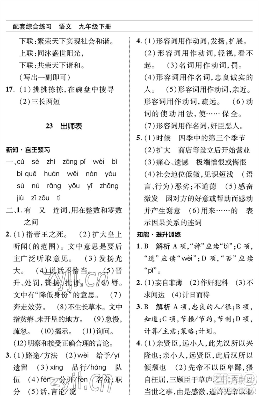 北京師范大學出版社2023語文配套綜合練習九年級下冊人教版參考答案