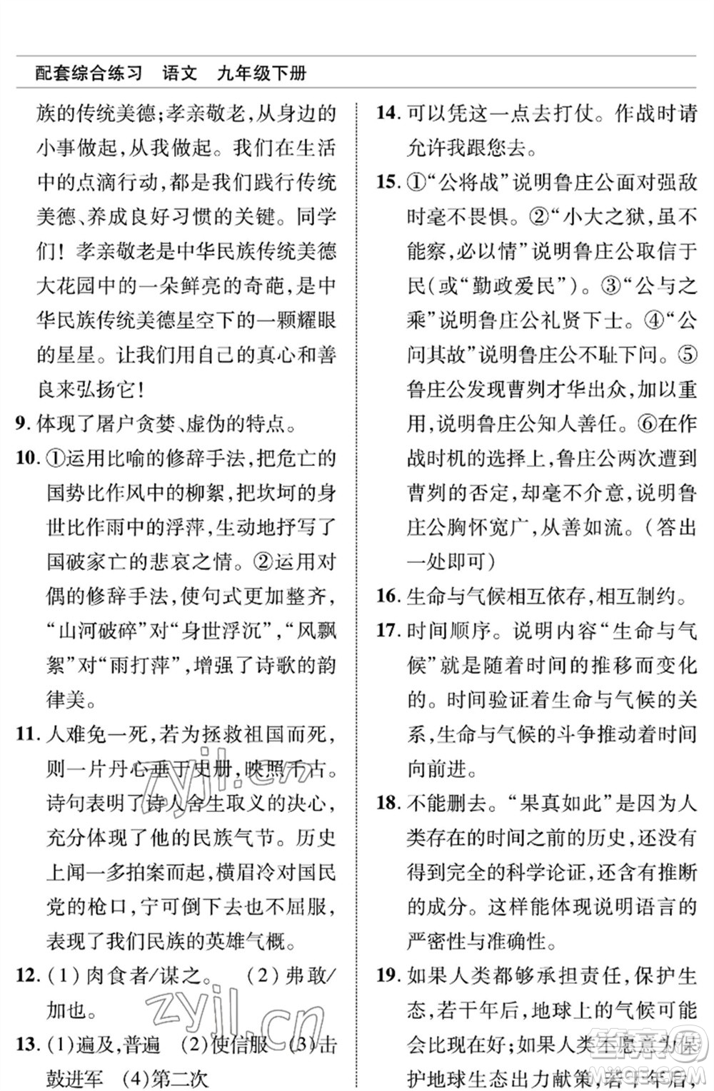 北京師范大學出版社2023語文配套綜合練習九年級下冊人教版參考答案