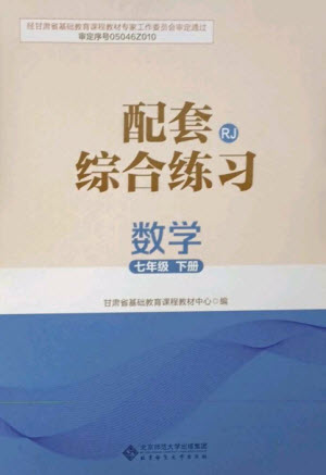 北京師范大學(xué)出版社2023數(shù)學(xué)配套綜合練習(xí)七年級(jí)下冊(cè)人教版參考答案