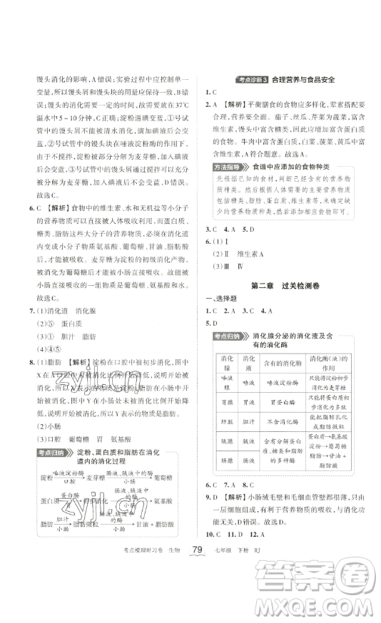 江西人民出版社2023王朝霞考點(diǎn)梳理時習(xí)卷七年級下冊生物人教版答案