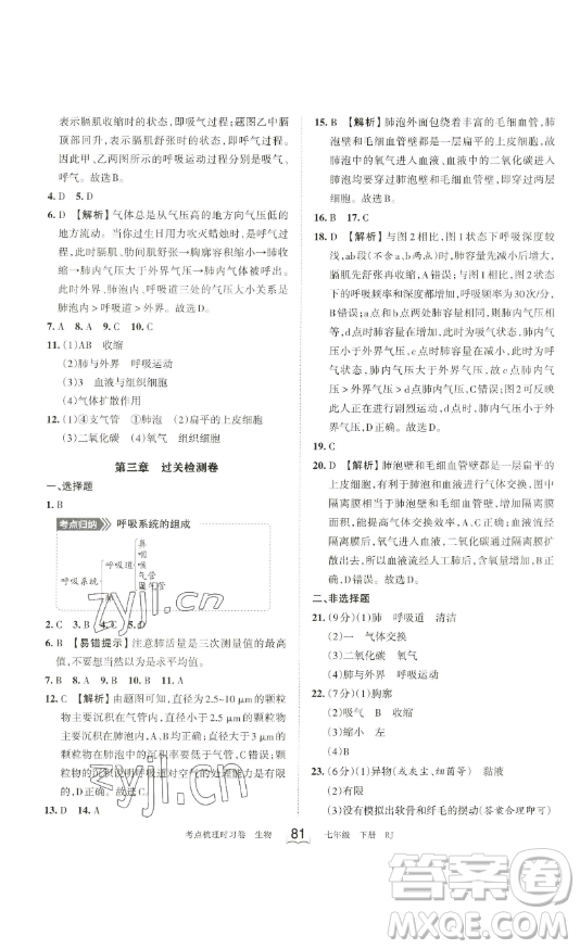 江西人民出版社2023王朝霞考點(diǎn)梳理時習(xí)卷七年級下冊生物人教版答案