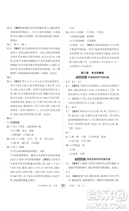 江西人民出版社2023王朝霞考點(diǎn)梳理時習(xí)卷七年級下冊生物人教版答案