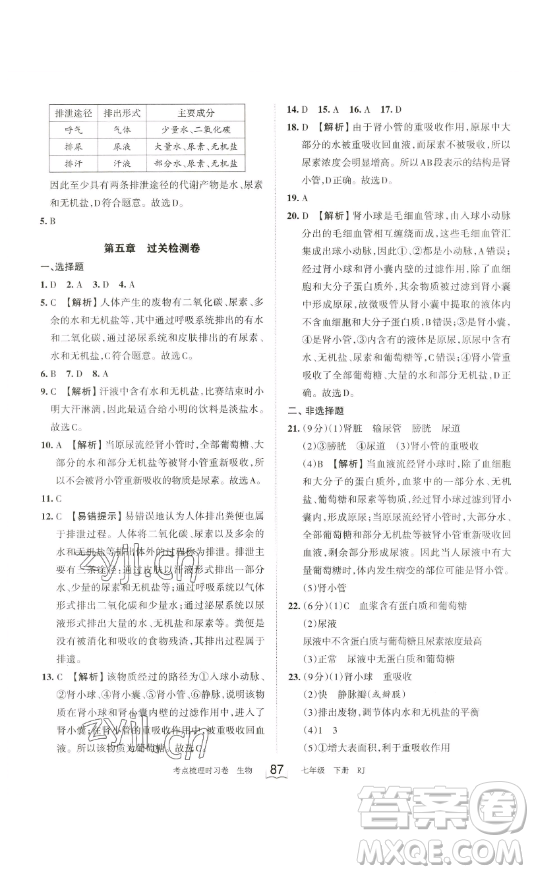 江西人民出版社2023王朝霞考點(diǎn)梳理時習(xí)卷七年級下冊生物人教版答案