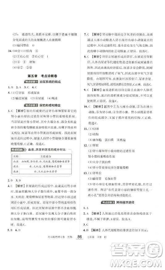 江西人民出版社2023王朝霞考點(diǎn)梳理時習(xí)卷七年級下冊生物人教版答案