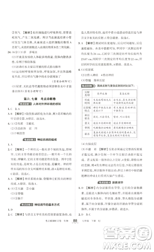 江西人民出版社2023王朝霞考點(diǎn)梳理時習(xí)卷七年級下冊生物人教版答案