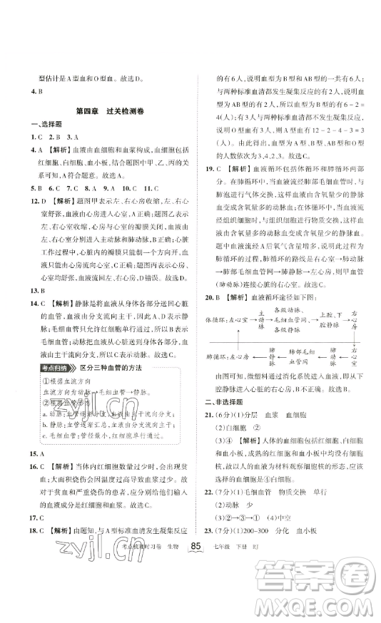 江西人民出版社2023王朝霞考點(diǎn)梳理時習(xí)卷七年級下冊生物人教版答案