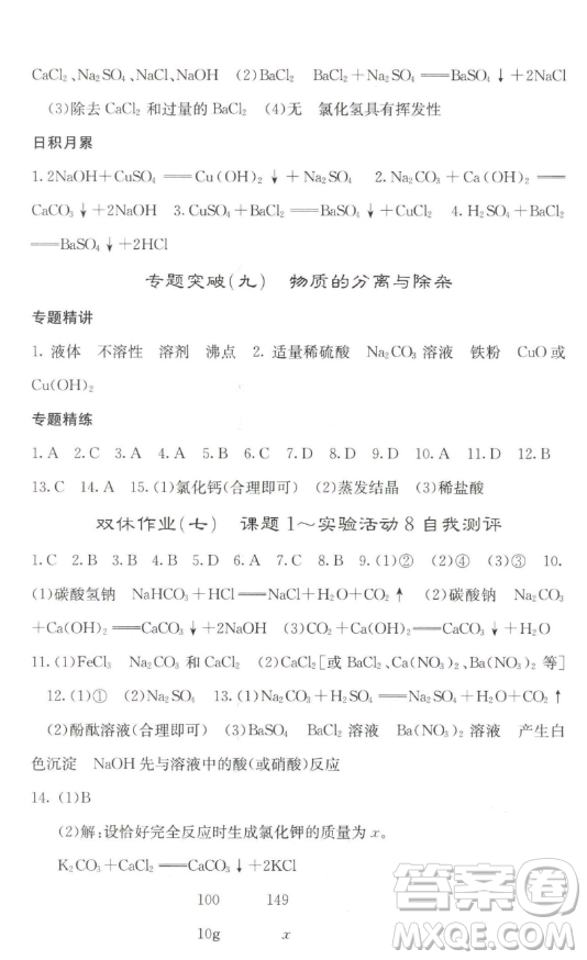 四川大學(xué)出版社2023名校課堂內(nèi)外九年級(jí)化學(xué)下冊(cè)人教版答案