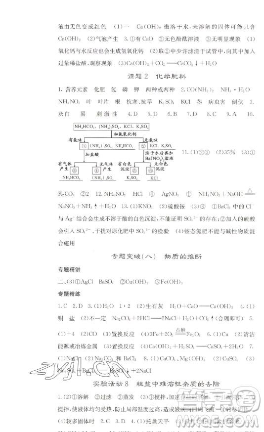 四川大學(xué)出版社2023名校課堂內(nèi)外九年級(jí)化學(xué)下冊(cè)人教版答案