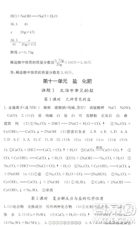 四川大學(xué)出版社2023名校課堂內(nèi)外九年級(jí)化學(xué)下冊(cè)人教版答案