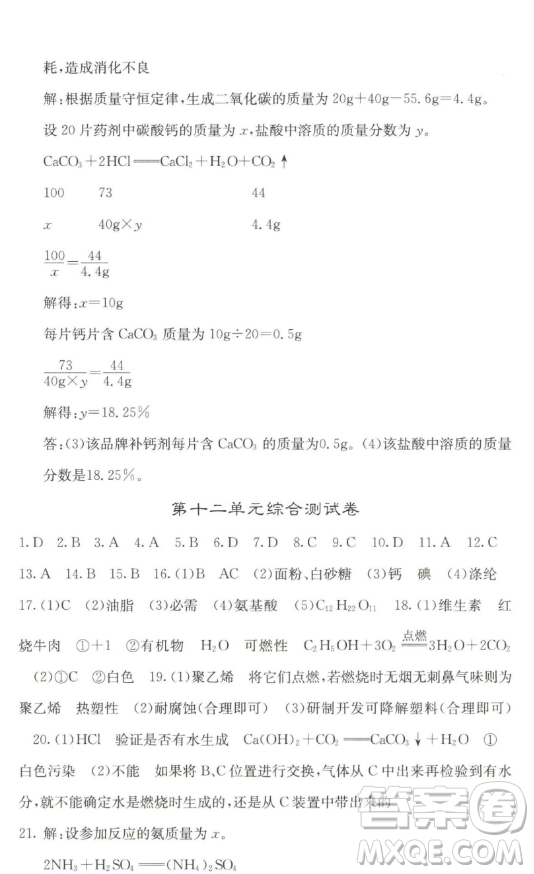 四川大學(xué)出版社2023名校課堂內(nèi)外九年級(jí)化學(xué)下冊(cè)人教版答案