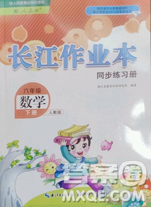 湖北教育出版社2023長江作業(yè)本同步練習(xí)冊六年級數(shù)學(xué)下冊人教版參考答案