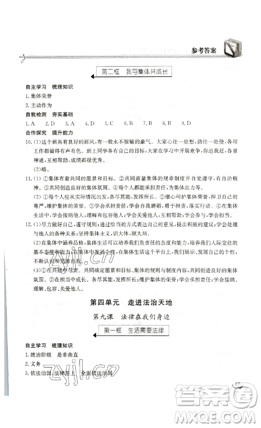 湖北教育出版社2023長江作業(yè)本同步練習(xí)冊七年級道德與法治下冊人教版參考答案