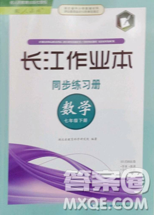 湖北教育出版社2023長江作業(yè)本同步練習(xí)冊七年級(jí)數(shù)學(xué)下冊人教版參考答案