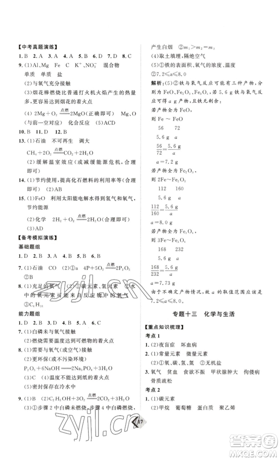 延邊教育出版社2023最新版優(yōu)+學(xué)案贏在中考化學(xué)講練版答案