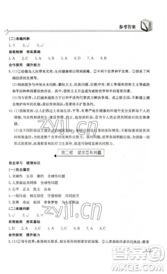 湖北教育出版社2023長江作業(yè)本同步練習(xí)冊九年級道德與法治下冊人教版參考答案