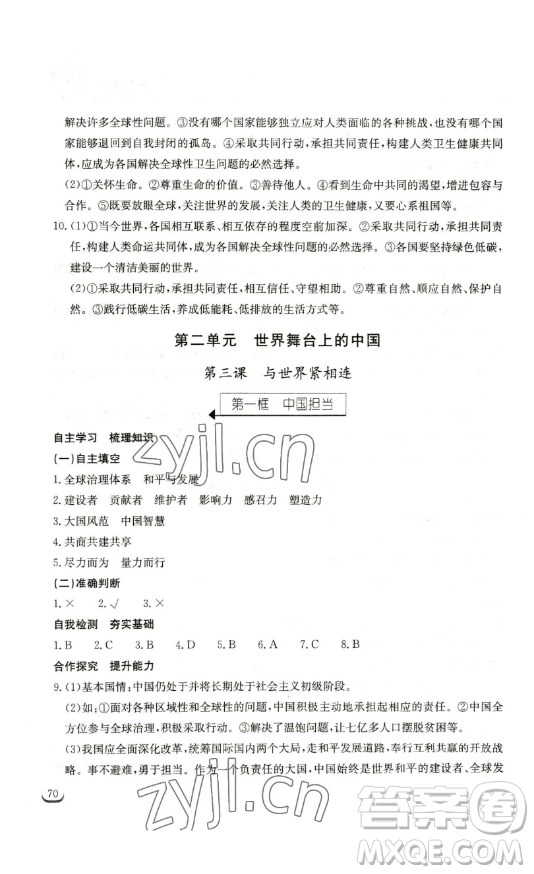 湖北教育出版社2023長江作業(yè)本同步練習(xí)冊九年級道德與法治下冊人教版參考答案