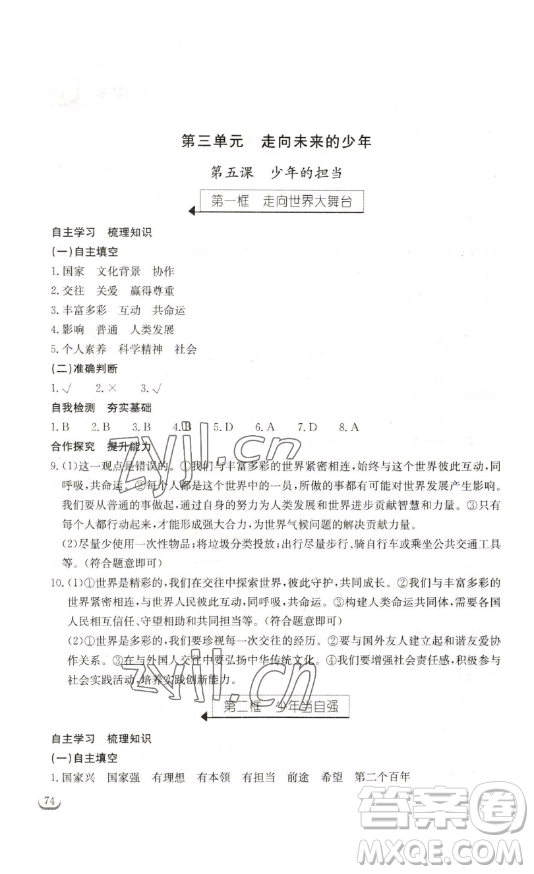 湖北教育出版社2023長江作業(yè)本同步練習(xí)冊九年級道德與法治下冊人教版參考答案