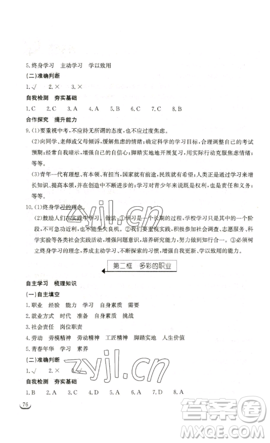 湖北教育出版社2023長江作業(yè)本同步練習(xí)冊九年級道德與法治下冊人教版參考答案