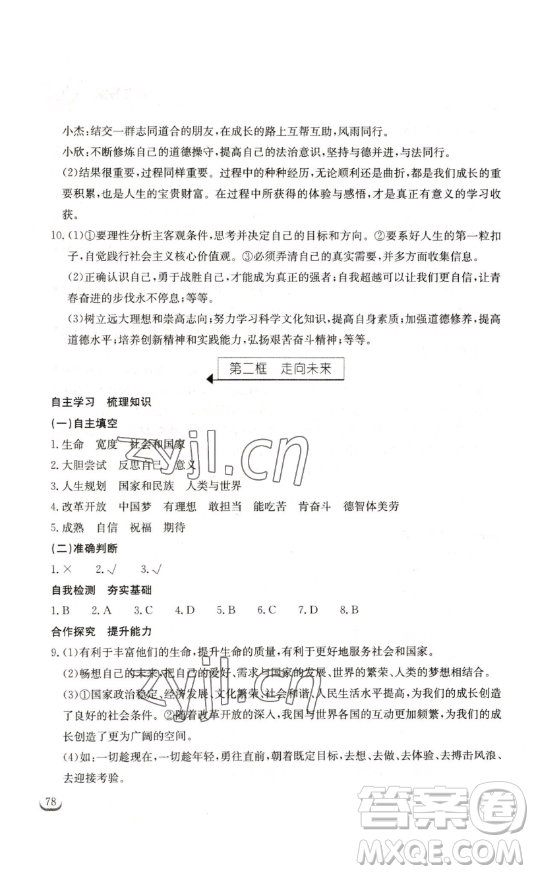 湖北教育出版社2023長江作業(yè)本同步練習(xí)冊九年級道德與法治下冊人教版參考答案