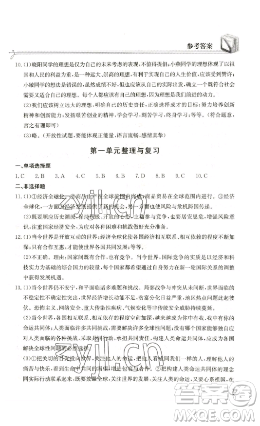 湖北教育出版社2023長江作業(yè)本同步練習(xí)冊九年級道德與法治下冊人教版參考答案